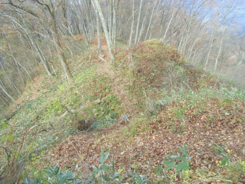西尾根側の堀切の写真です。