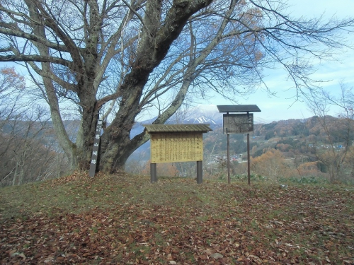 写真中央に主郭の標柱などが写っています。