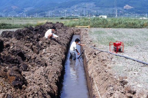 膝丈まで水がたまった調査区の中で調査員が堆積した土の厚みを計測しています。調査区の上では別の調査員がその数値を方眼紙に記録しています。