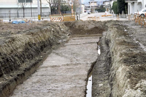 細長い調査区の中にあぜが直交するようにのびています