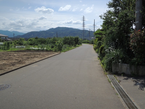 東からみた現在の様子です。