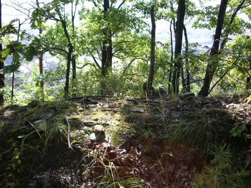 土塁の写真です。