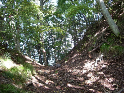 堀切の写真です。
