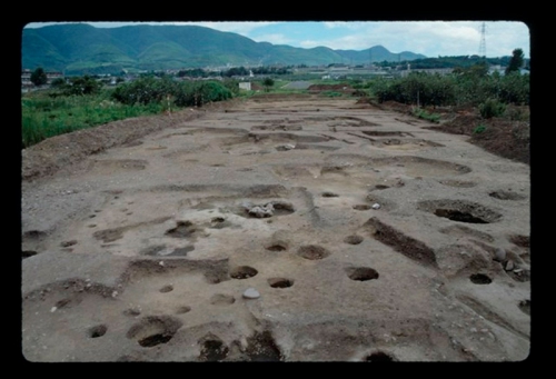 地面を掘りくぼめた家や穴の跡がたくさんある写真です